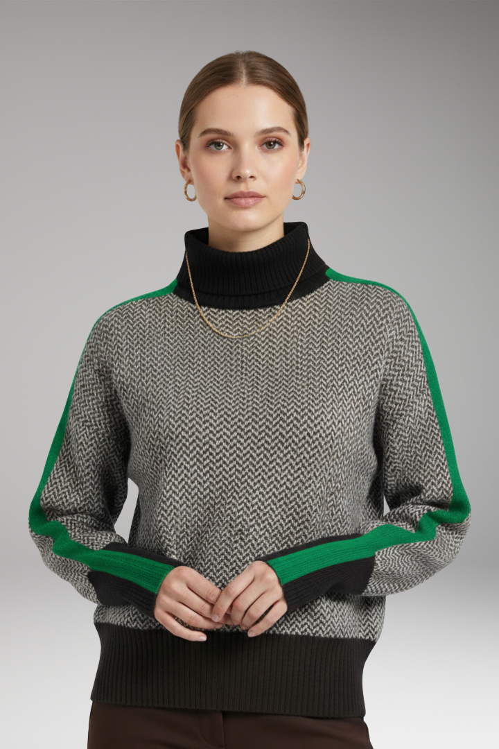 Women's Sweater with High Neck and Long Sleeves